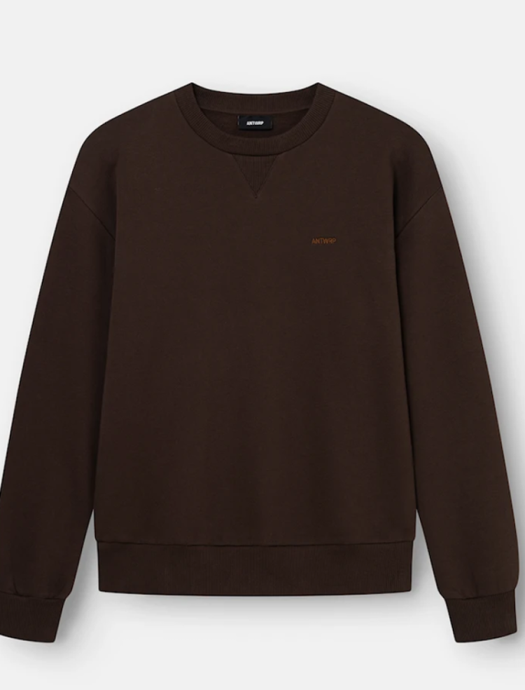 Sweater backprint letters Antwrp in cirkel  600 brown