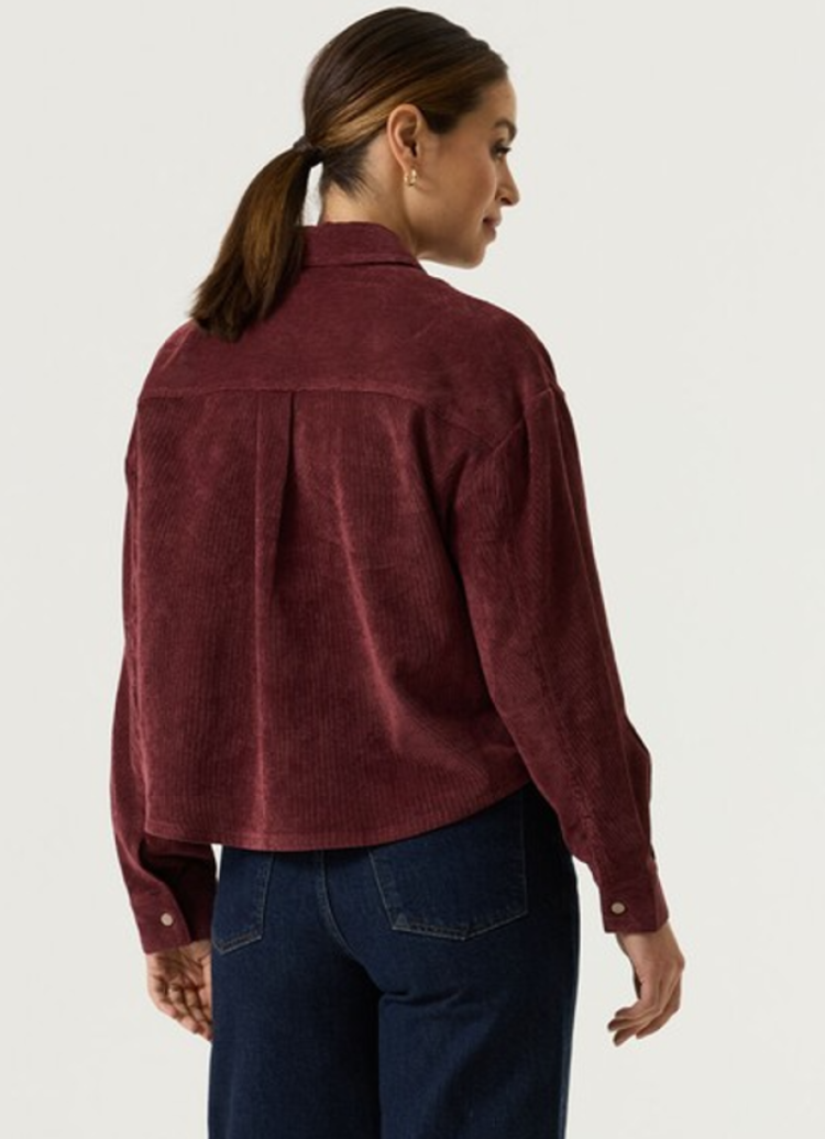 Hemdvestje ribfluweel  4081-rosewood